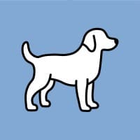 Happy Dog Surf Shop